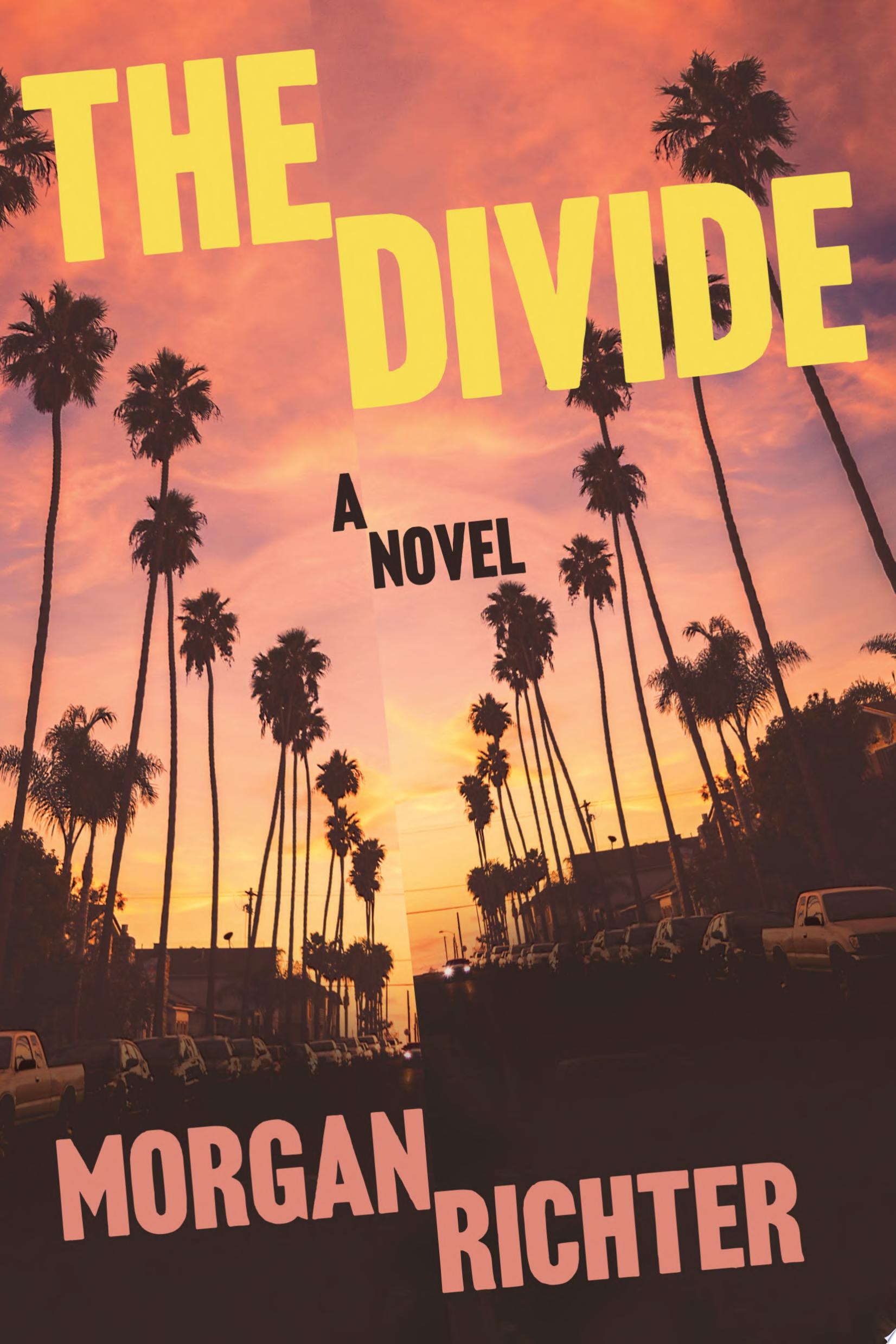 Image for "The Divide"